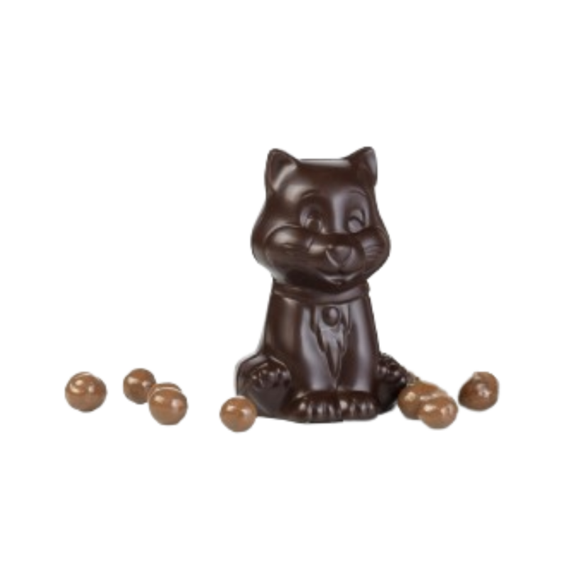 Chatounet au chocolat noir Chatounet au chocolat noir