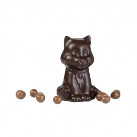 Chatounet au chocolat noir