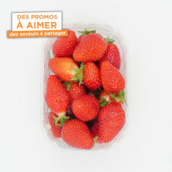 Fraises Gariguette 250g