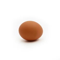 Œuf de poule Quintard vrac