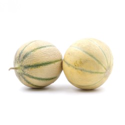 MELONS PETIT