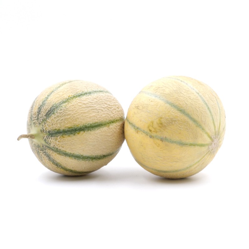 MELONS PETIT