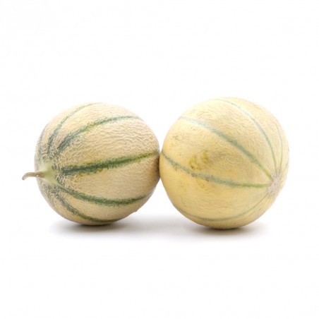MELONS PETIT