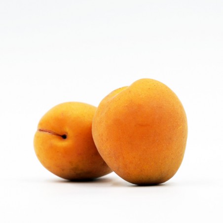 Abricot