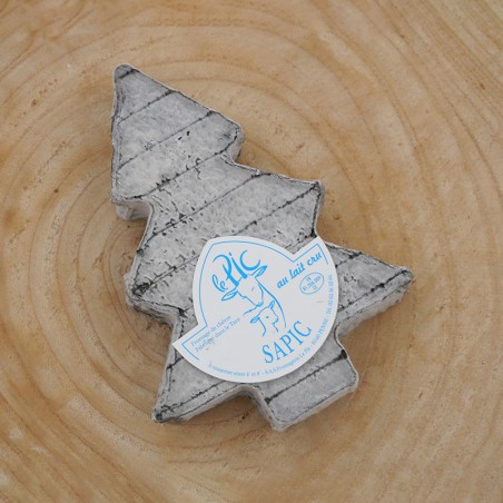 Sapic cendré