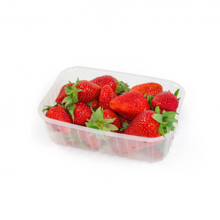 Fraises mara des bois