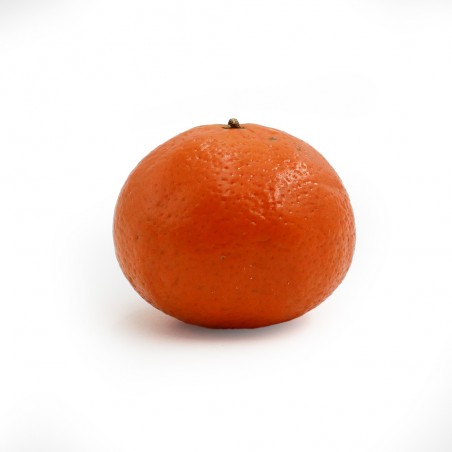 Clémentine soculente
