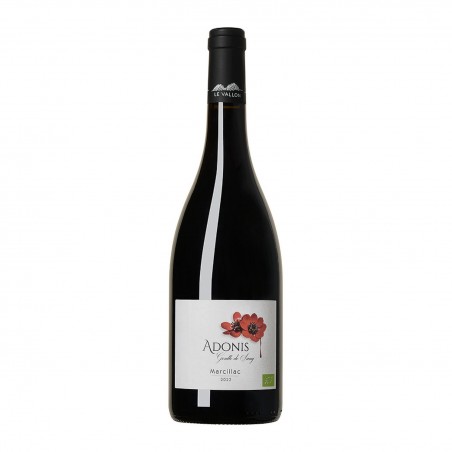 Adonis AOP Marcillac