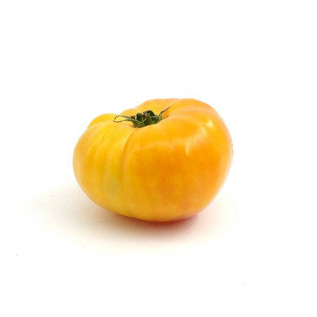 Tomate côtelée ananas