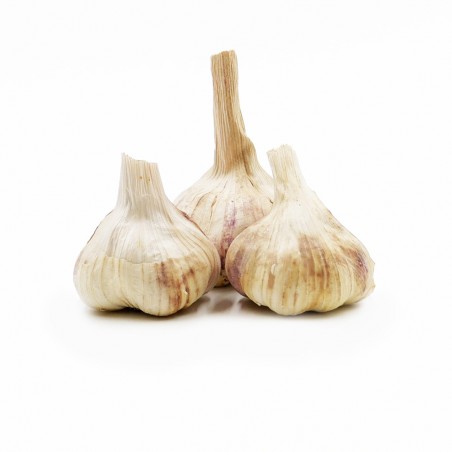 Ail violet