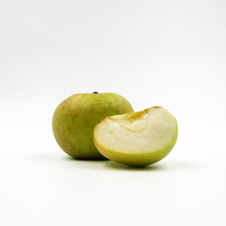 Pomme Canada blanche