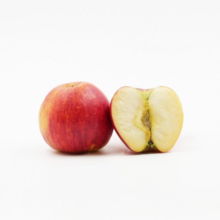 Pomme pilot