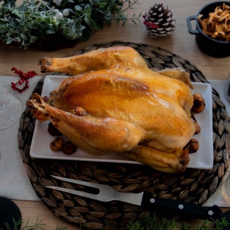 Chapon de pintade fermier