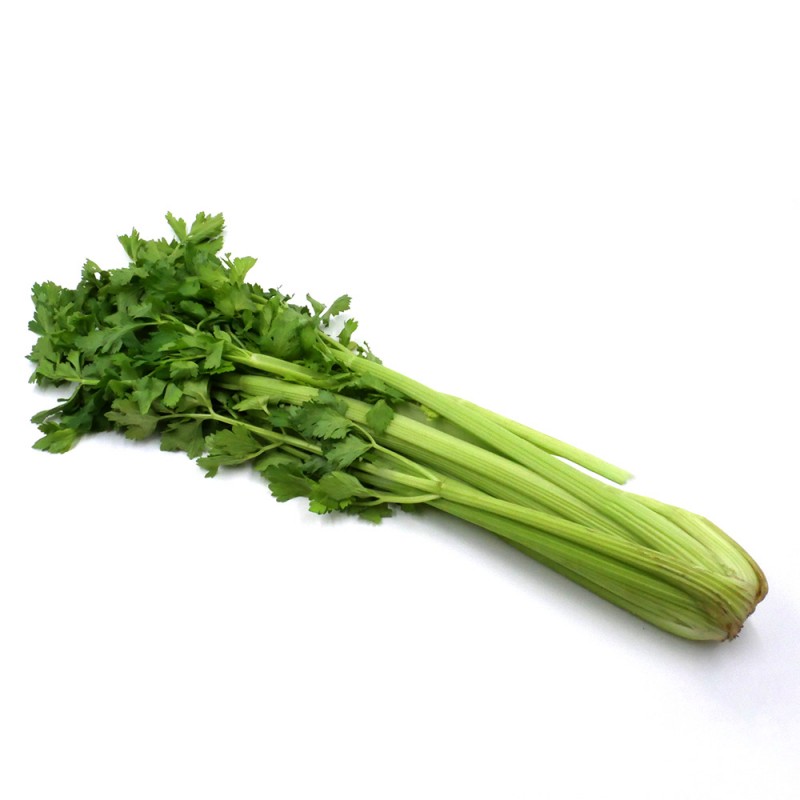Céleri branche Céleri branche