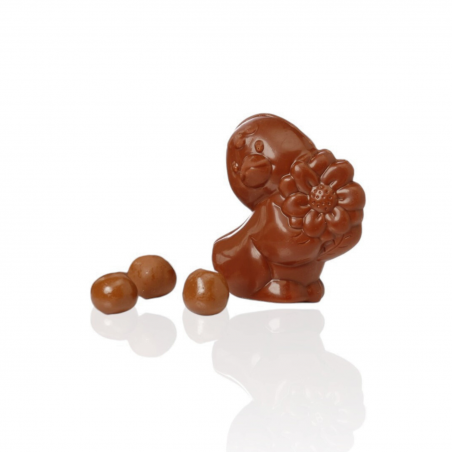 Caneton au chocolat au lait