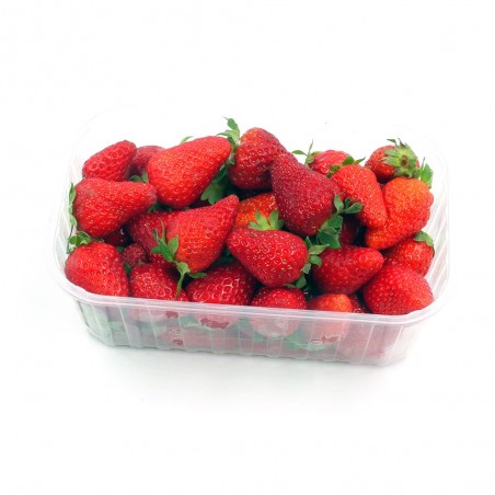 Barquette de fraises 250g
