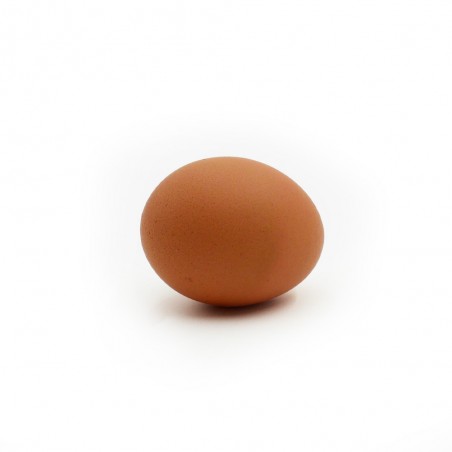 Œuf de poule Quintard vrac