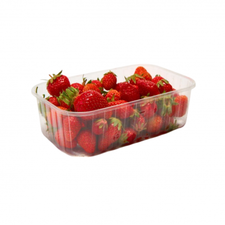 Fraises Carpentras 500g