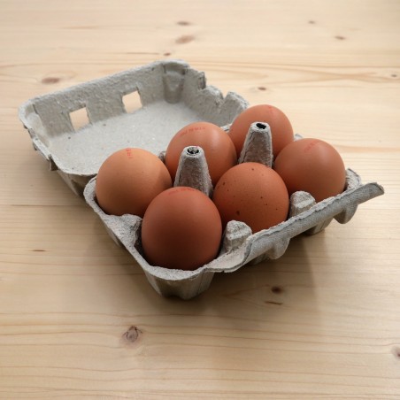 Œufs frais bio