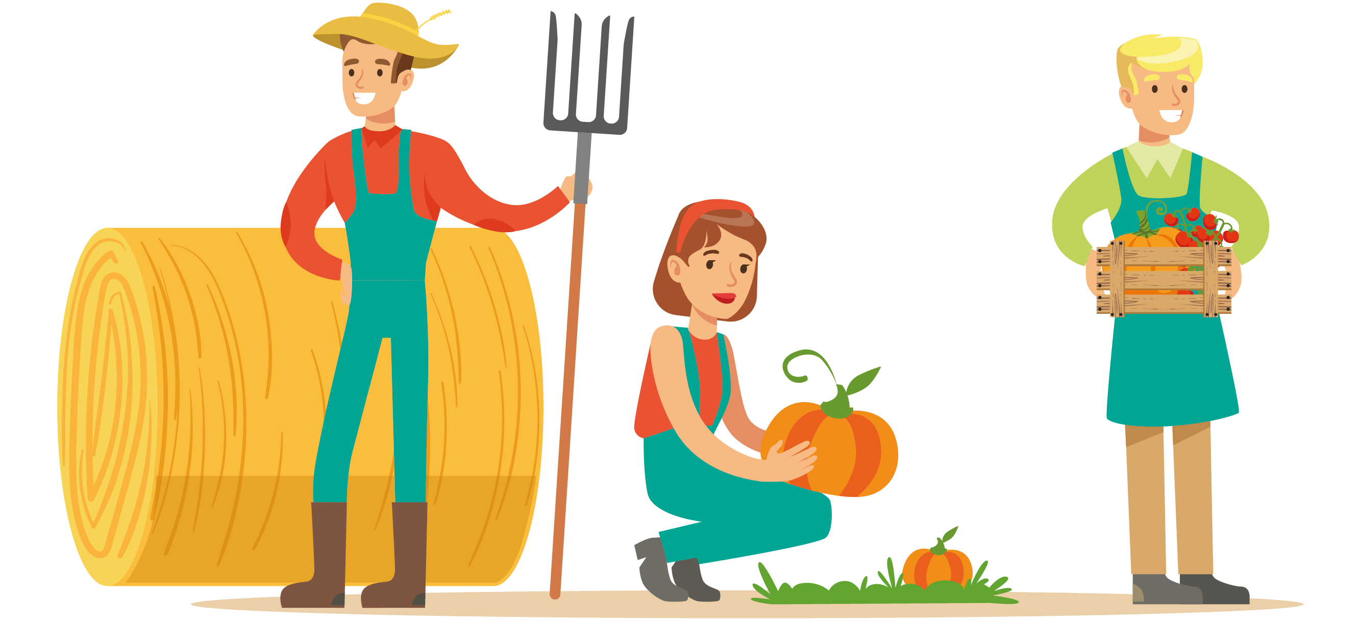 Des producteurs coopérateurs créent leur circuit court