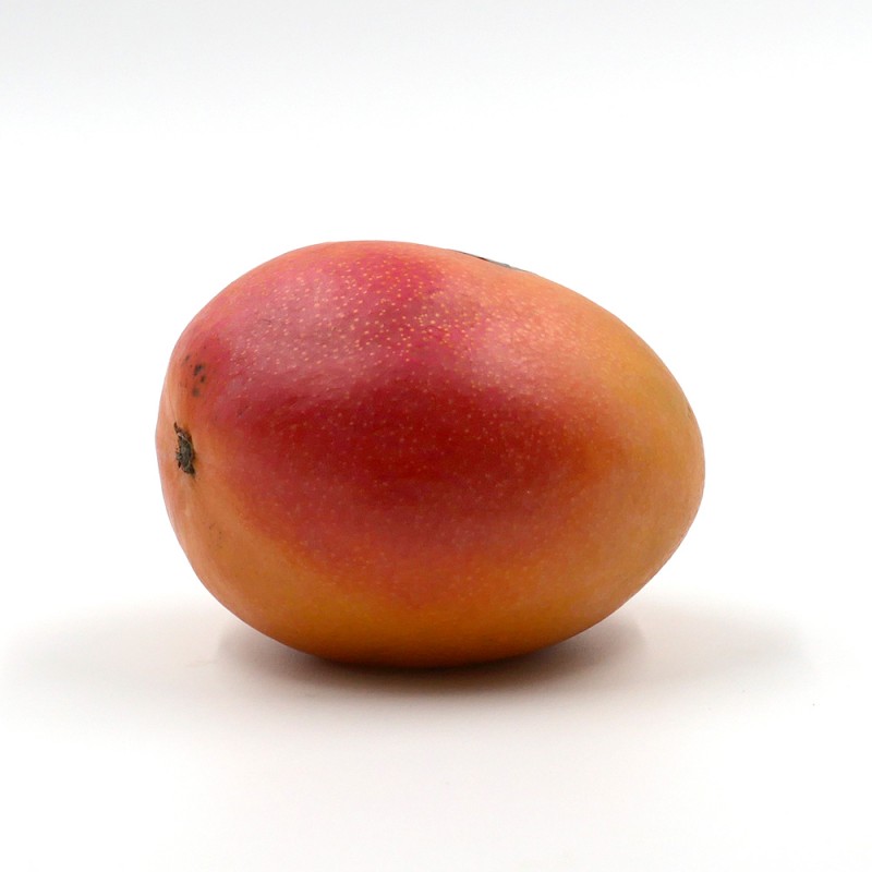 Mangue Avion Mangue Avion