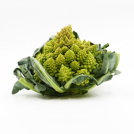 Chou Romanesco