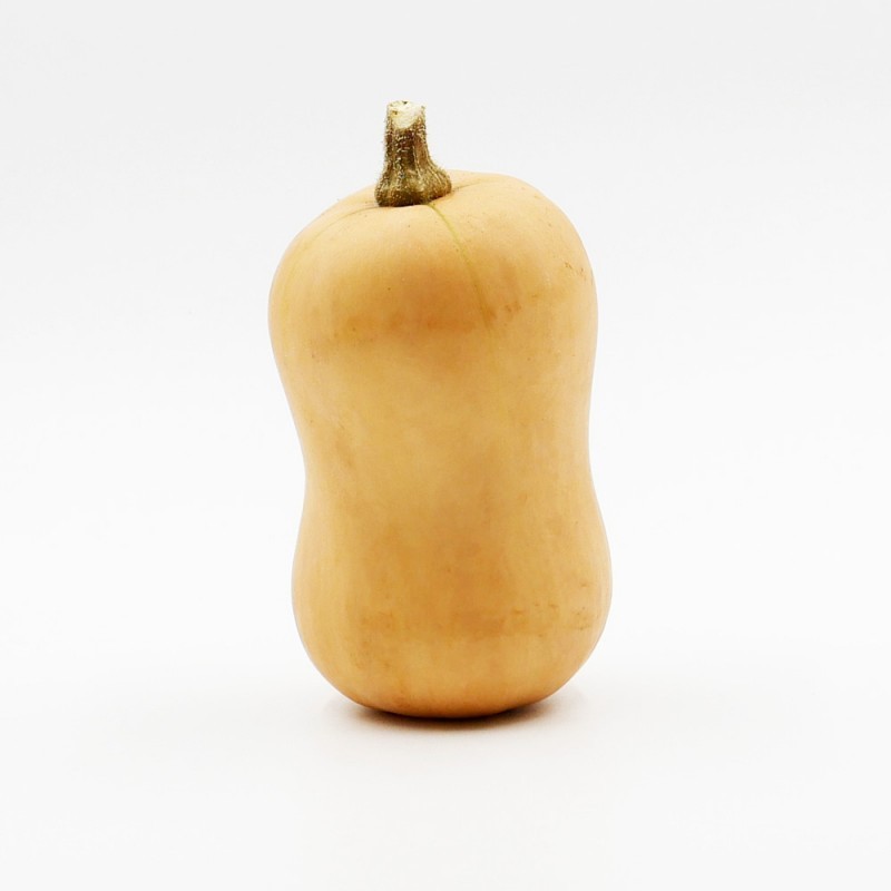Butternut Butternut