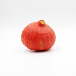 potimarron