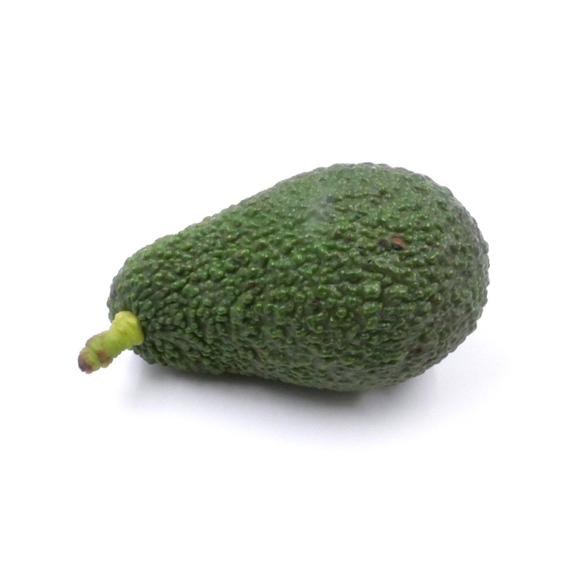 Avocat