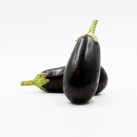 Aubergine