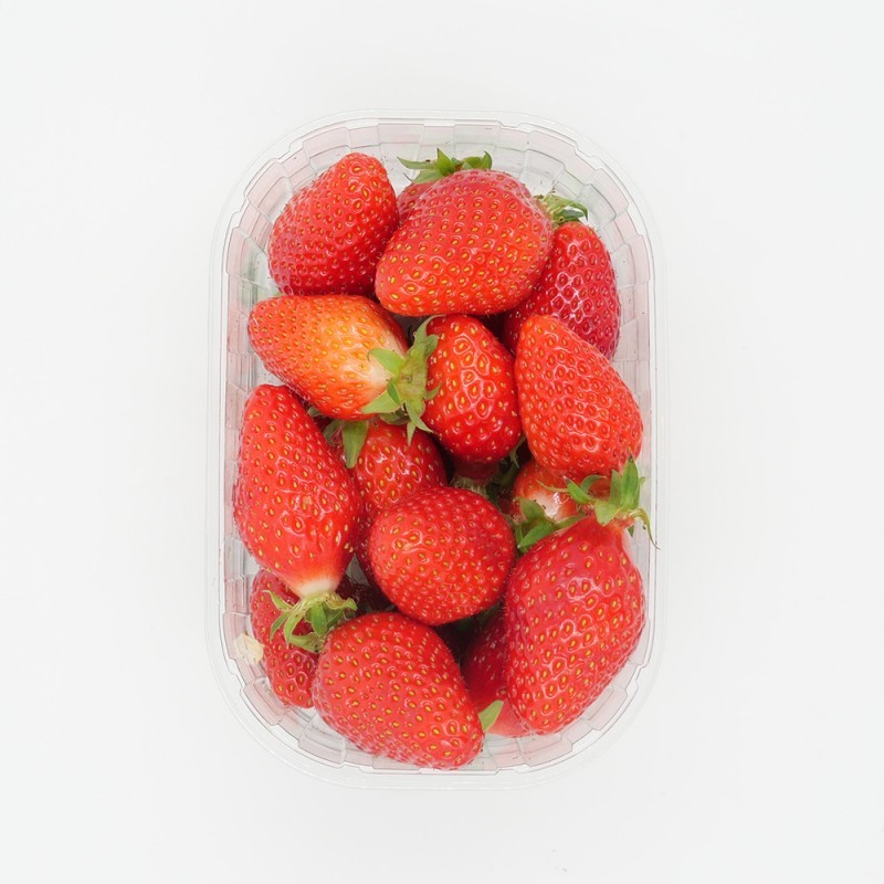 Fraises Gariguette 250g