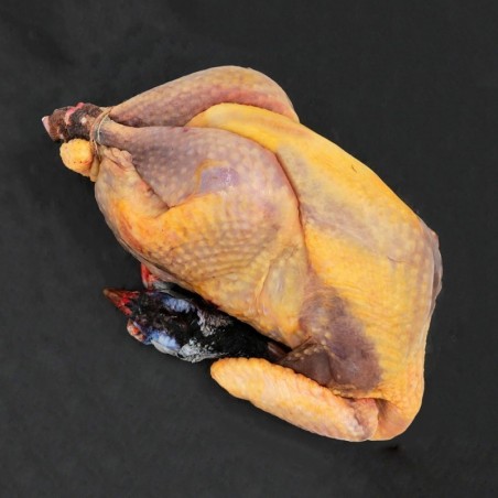 Pintade prête à cuire