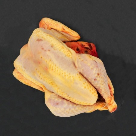 Poulet du Périgord prêt à cuire