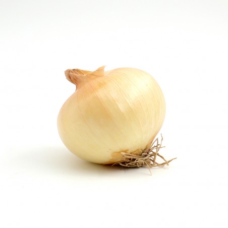 Oignon Doux