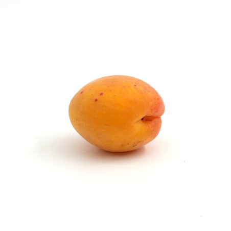 Abricot gros calibre