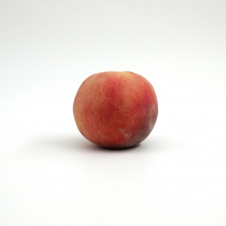 Pêche blanche