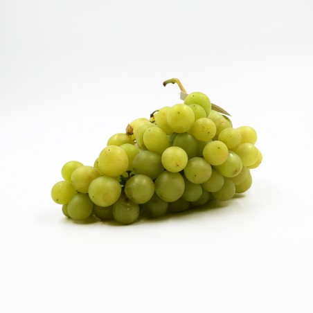 Raisin blanc