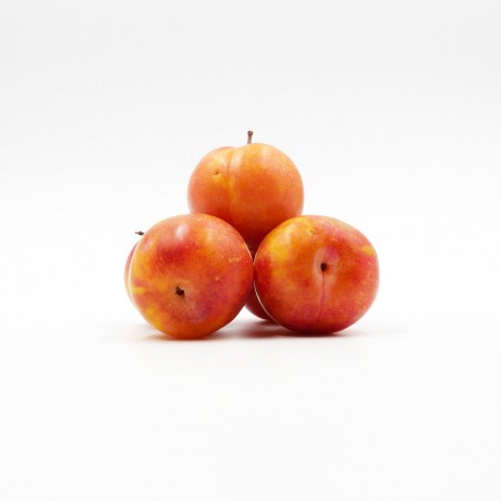 Prune Mirabelle
