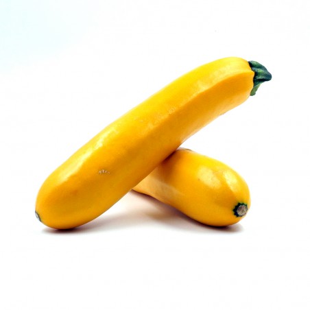Courgette jaune