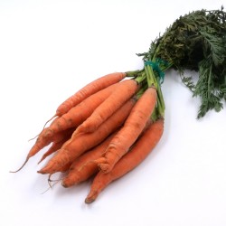 Carottes botte les halles de l'Aveyron