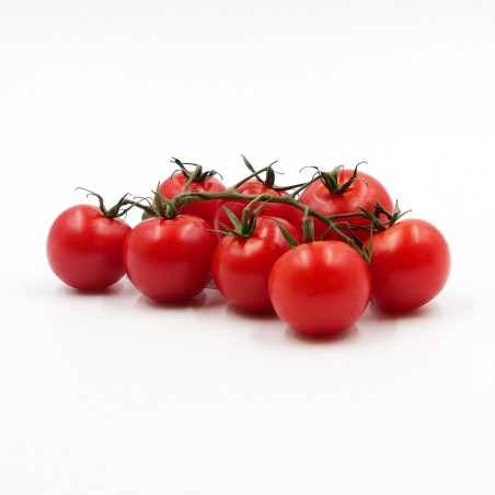 Tomate cocktail grappe
