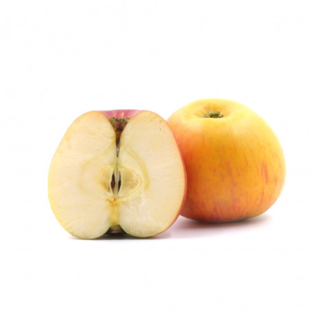 Pomme Reine des Reinettes