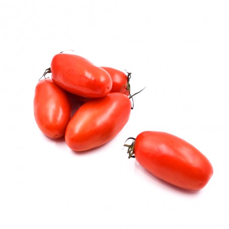 Tomate Torino