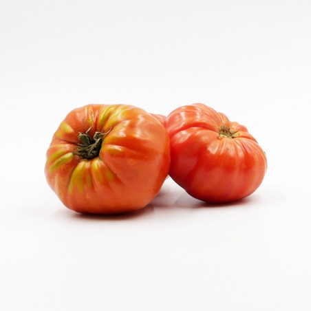 Tomate côtelée