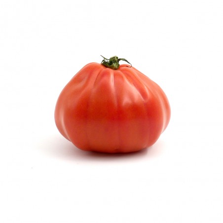 Tomate côtelée
