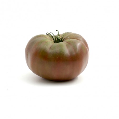 Tomate côtelée noire