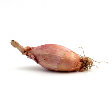 Échalote