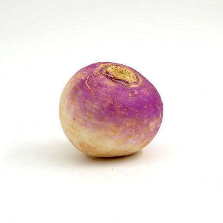 Navet Rond