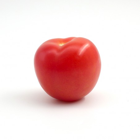 Tomate ronde