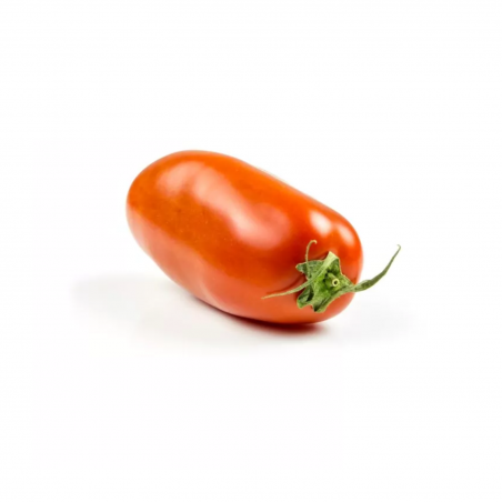 Tomate Torino